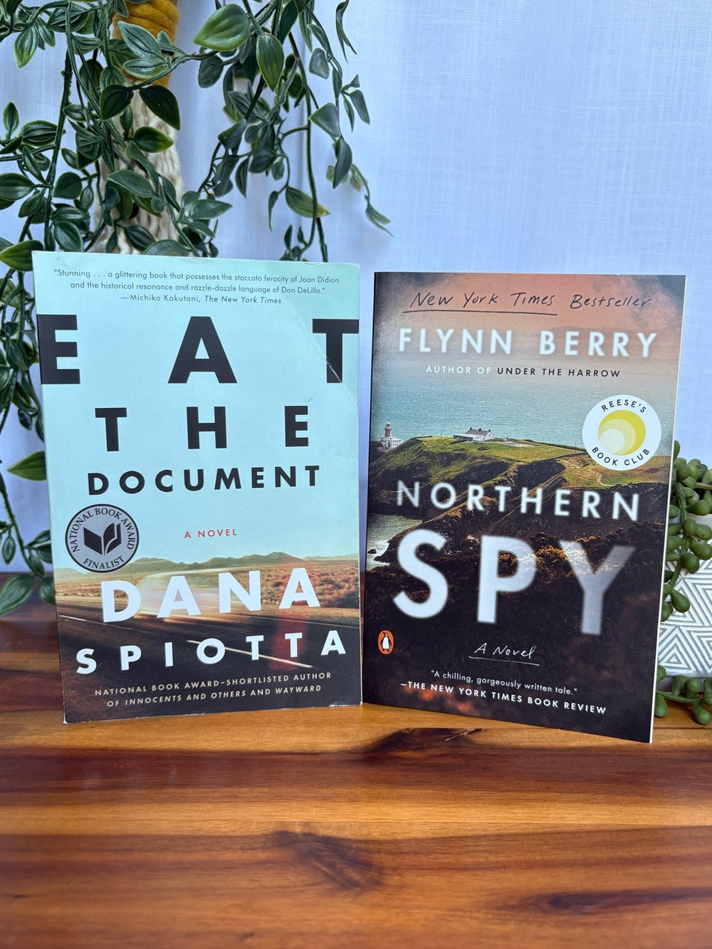 Political Fiction Book Bundle - Northern Spy & Eat the Document